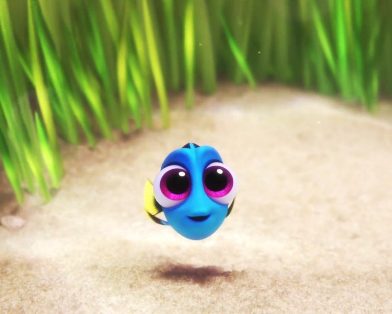 cute-baby-dory-in-finding-dory-wallpaper-02609
